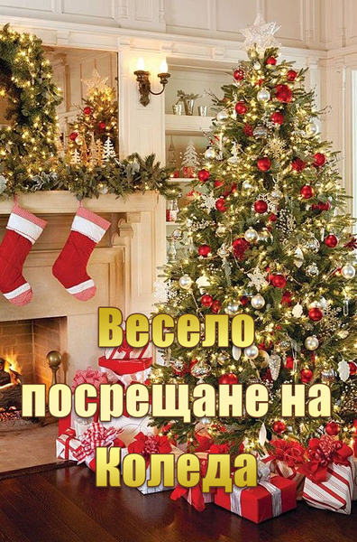 Весело посрещане на Коледа
